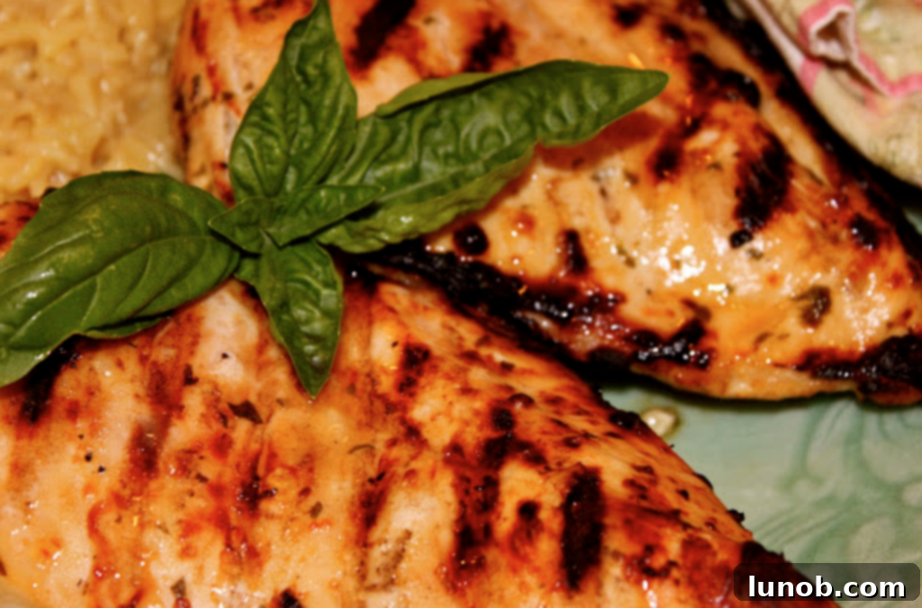 Zesty Asian Grilled Turkey Breasts 8 Grilled Thai Chicken