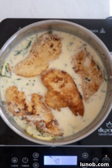 Chicken simmering in lemon butter sauce