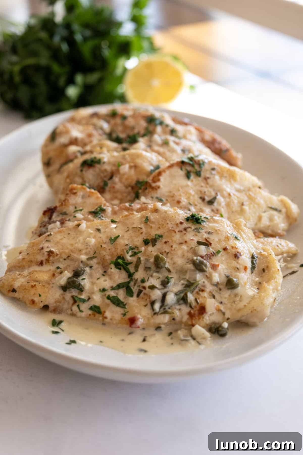 creamy lemon chicken breast in white wine sauce