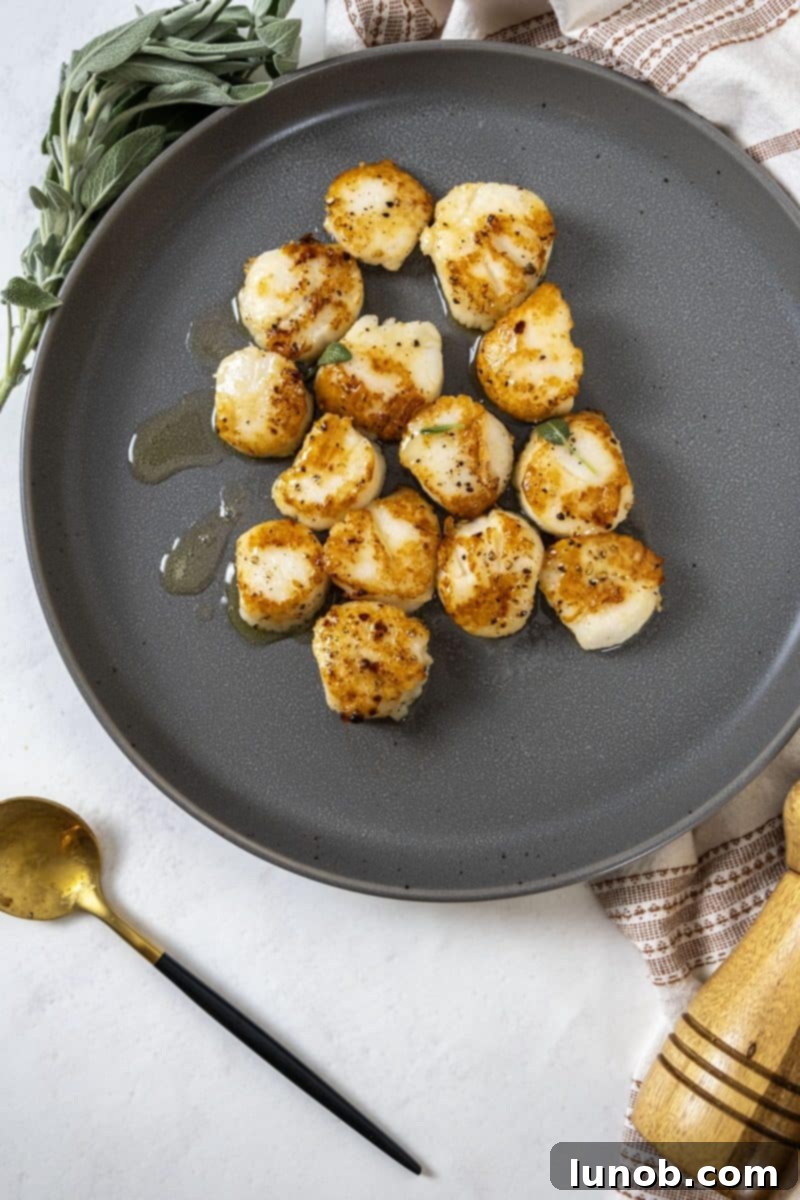 garlic sage seared scallops on a plate with fresh herbs