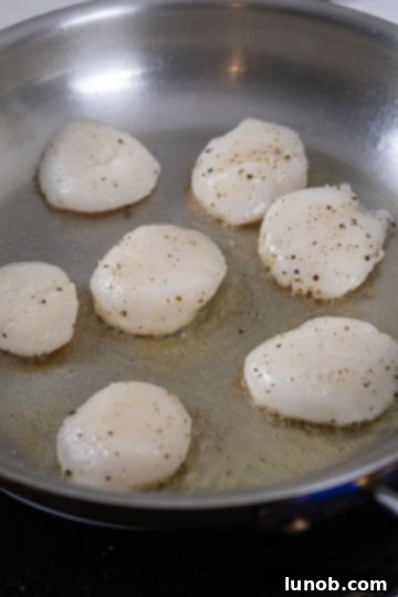 scallops placed in pan to sear