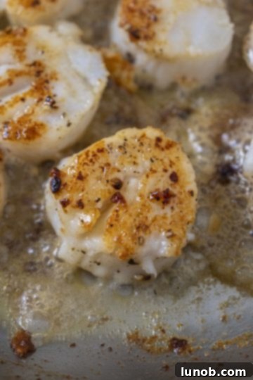 scallops flipped and seared