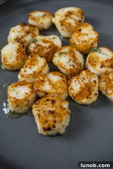 garlic sage seared scallops on a plate