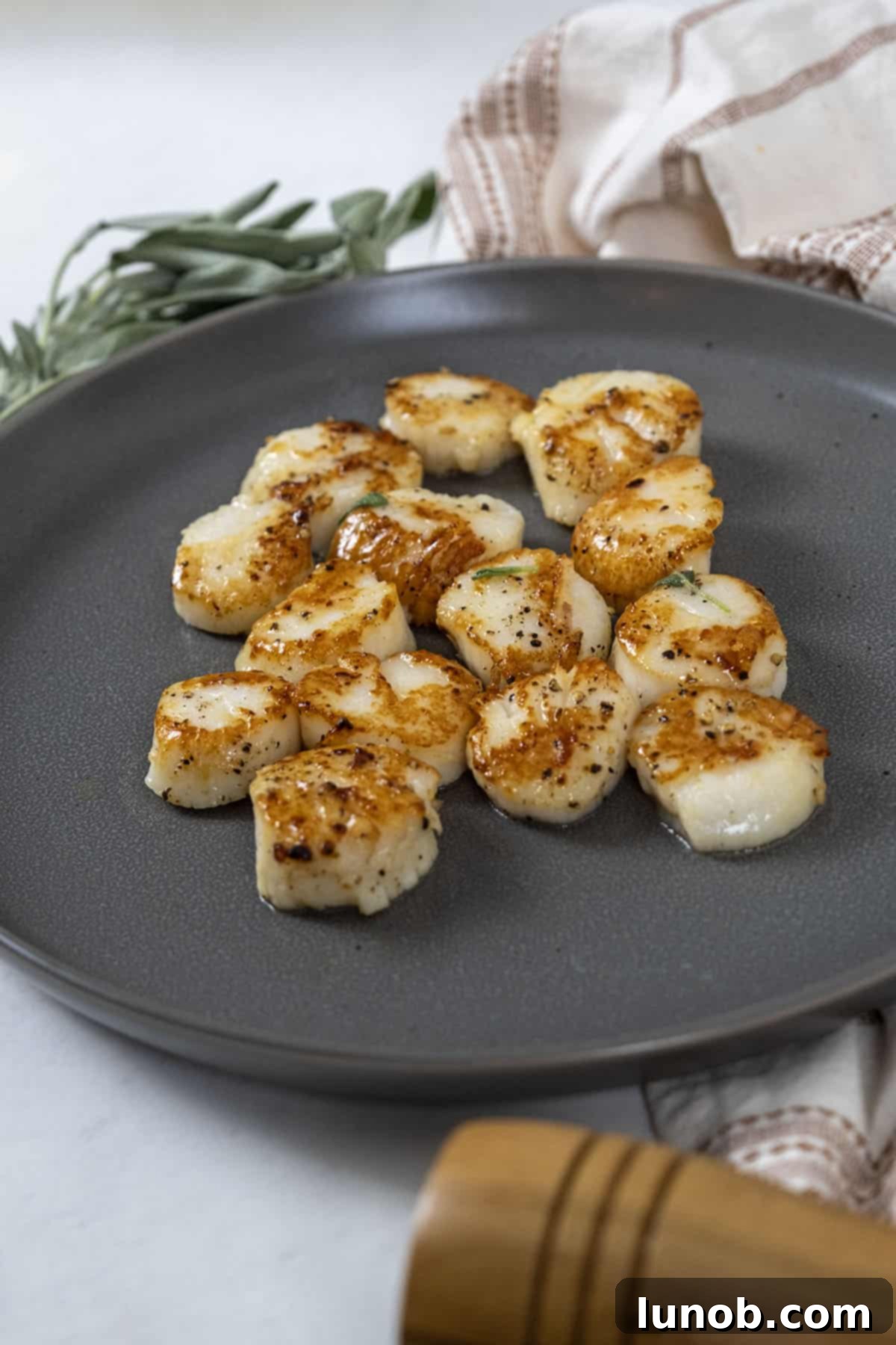 garlic sage seared scallops on a plate, close up