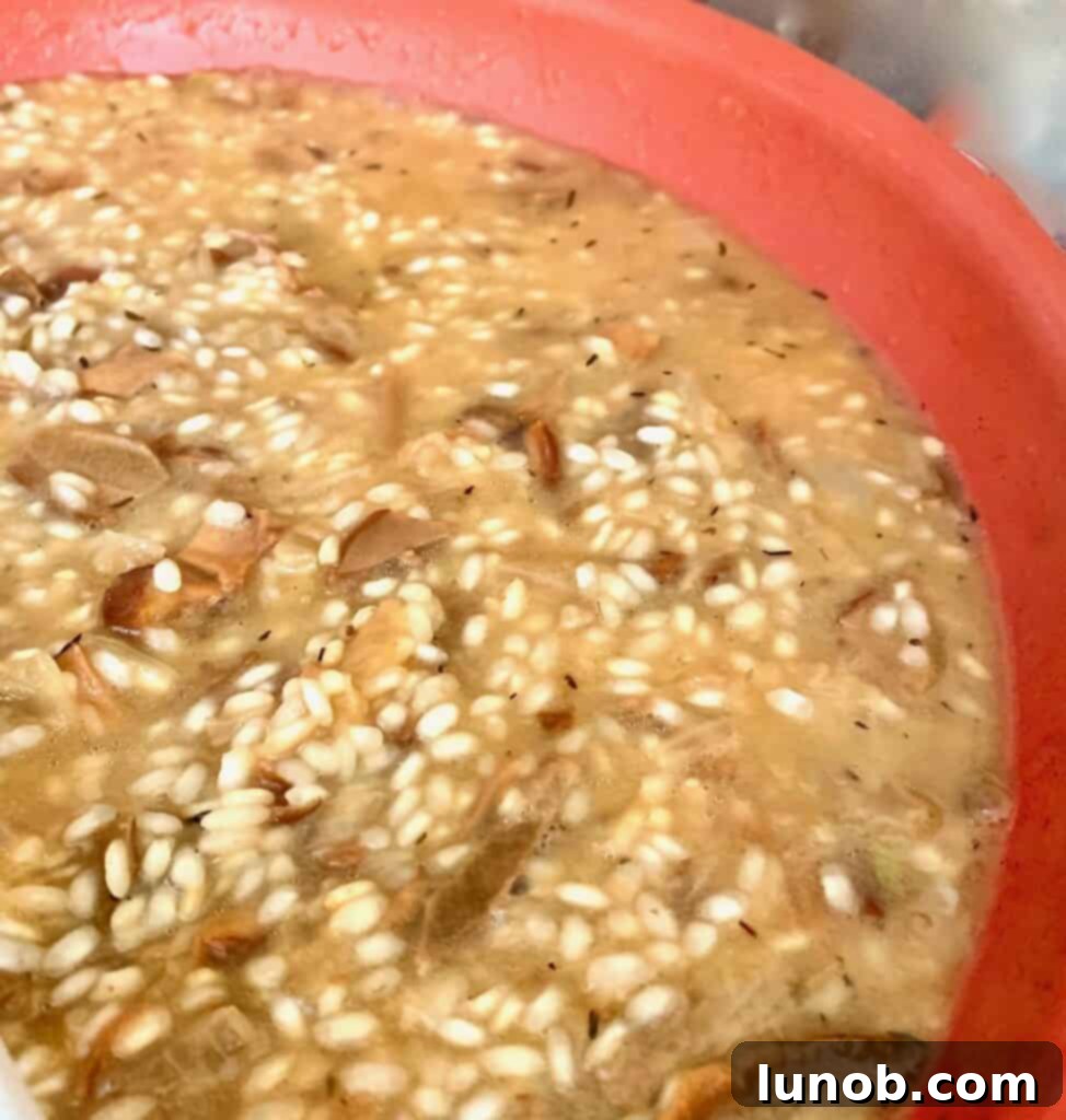 Luxurious Porcini and Truffle Risotto 19 img 38036 18