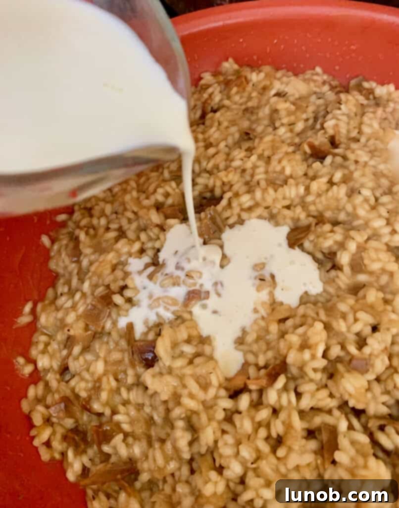 Luxurious Porcini and Truffle Risotto 21 img 38036 20