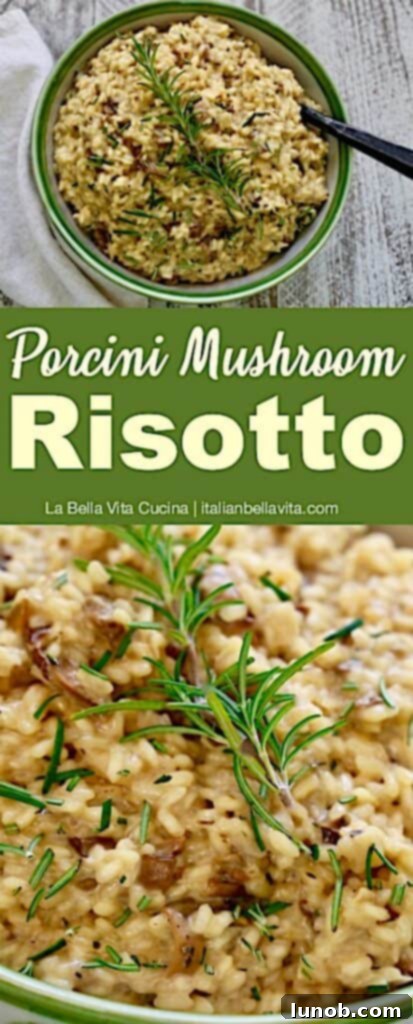 Luxurious Porcini and Truffle Risotto 23 Porcini Mushroom Risotto