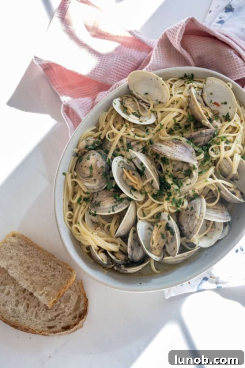 linguine with clams, fresh and delicious