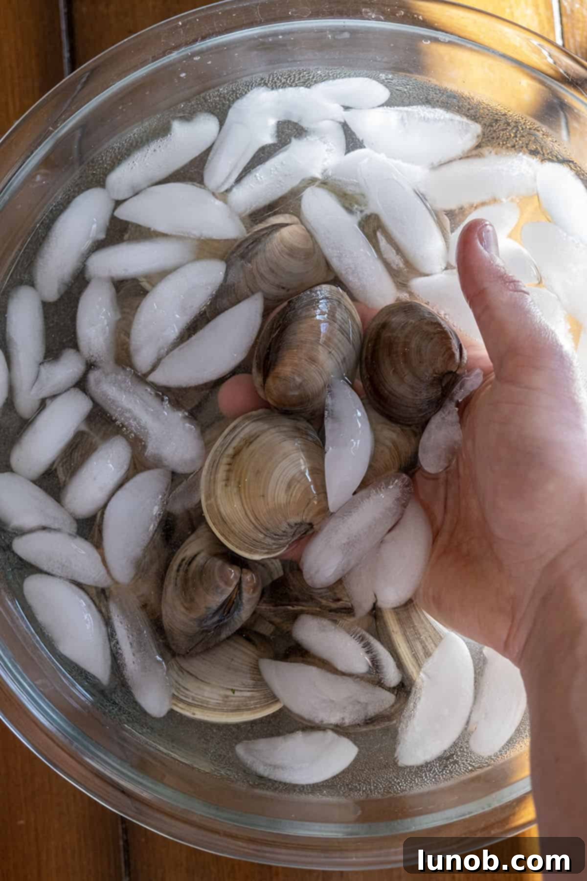 purging clams in cold water