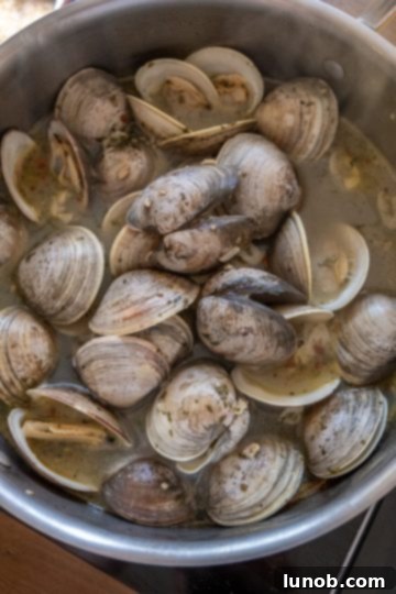 simmering clams in a pot for pasta