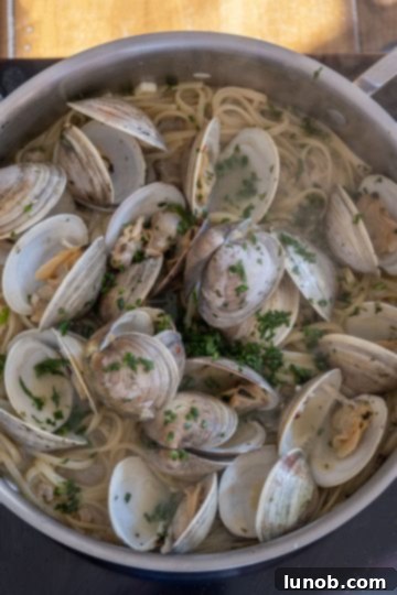 linguine with clams ready to serve in the pot