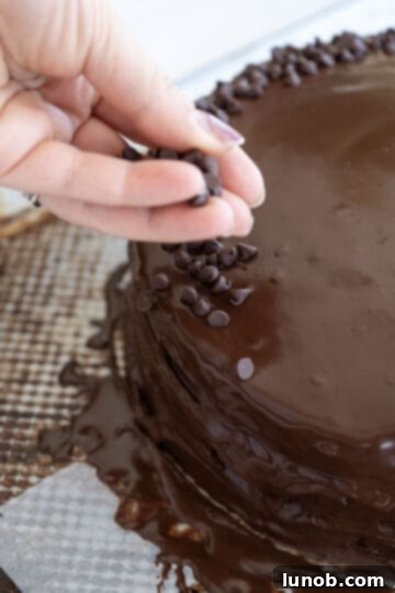 Sprinkling mini chocolate chips on the edge of the rainbow cookie cake