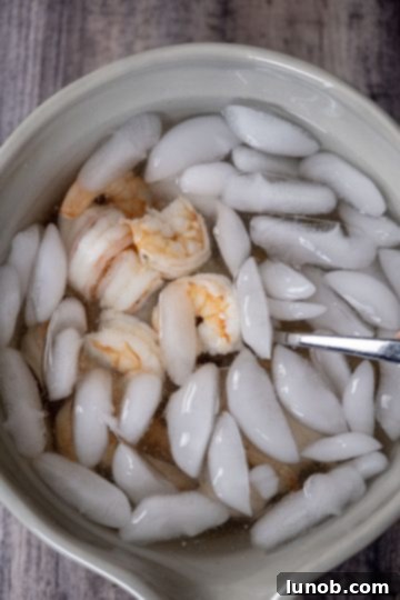 Freshly boiled pink shrimp immediately dropped into a bowl of ice water to halt the cooking process.