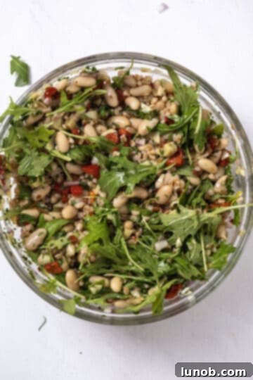 Mediterranean Farro White Bean Salad 7 Fresh arugula being gently folded into the mixed Italian bean salad.