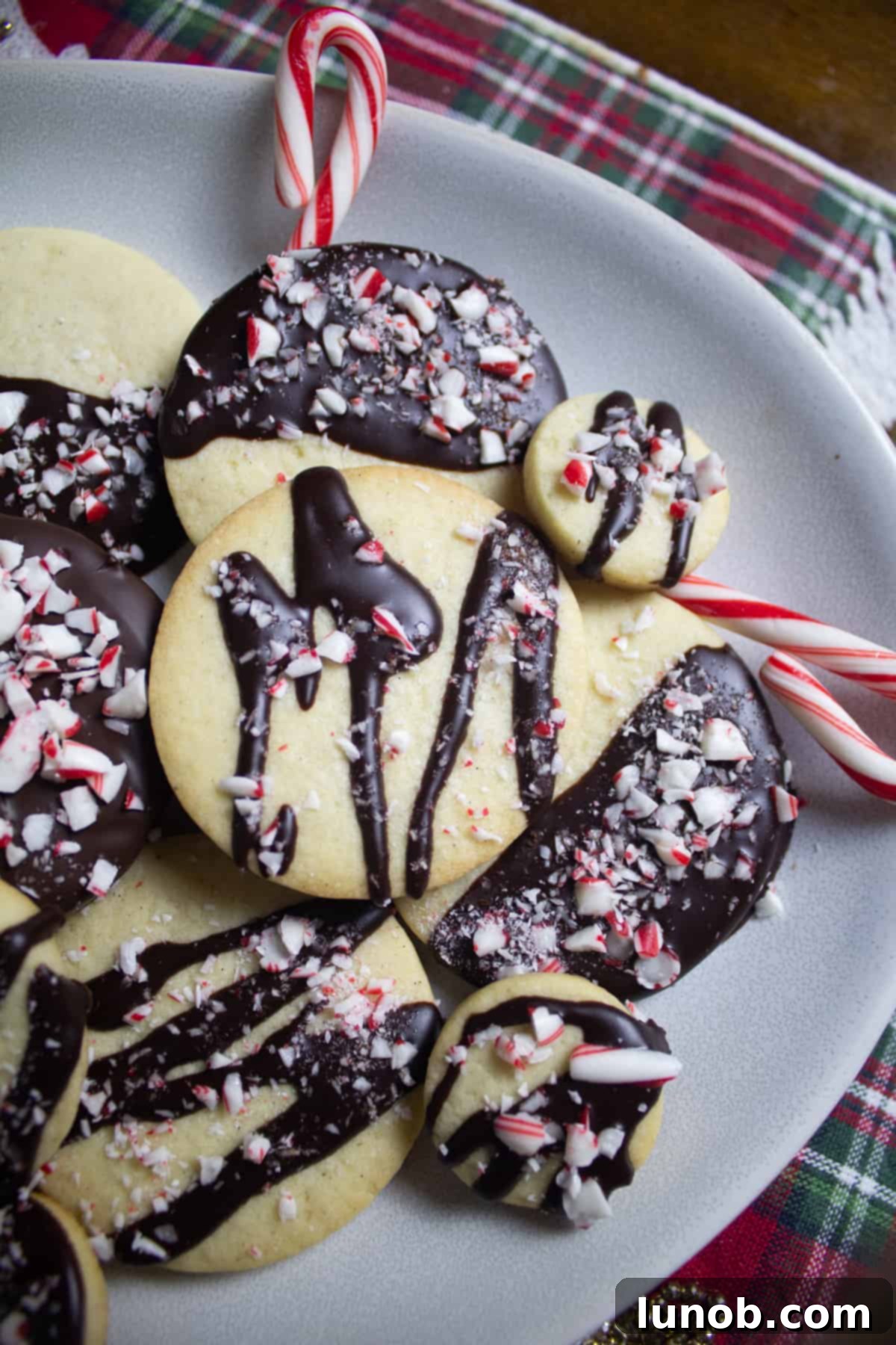 Decadent Dark Chocolate Peppermint Sugar Cookies 3 Dark chocolate drizzled over a sugar cookie and topped with crushed peppermint, showcasing a festive holiday treat.