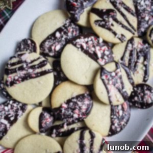 Decadent Dark Chocolate Peppermint Sugar Cookies 4 dark chocolate peppermint cookies