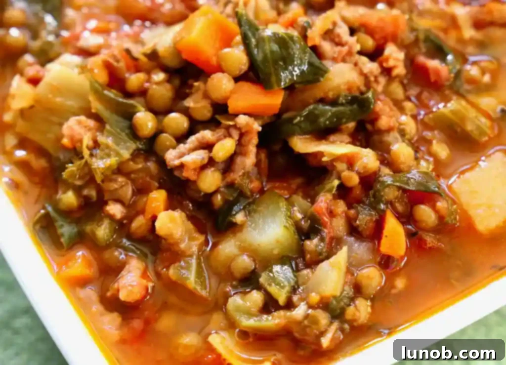 Hearty Sausage and Lentil Stew 3 Close-up of Lentil Stew with Sausage served in a bowl