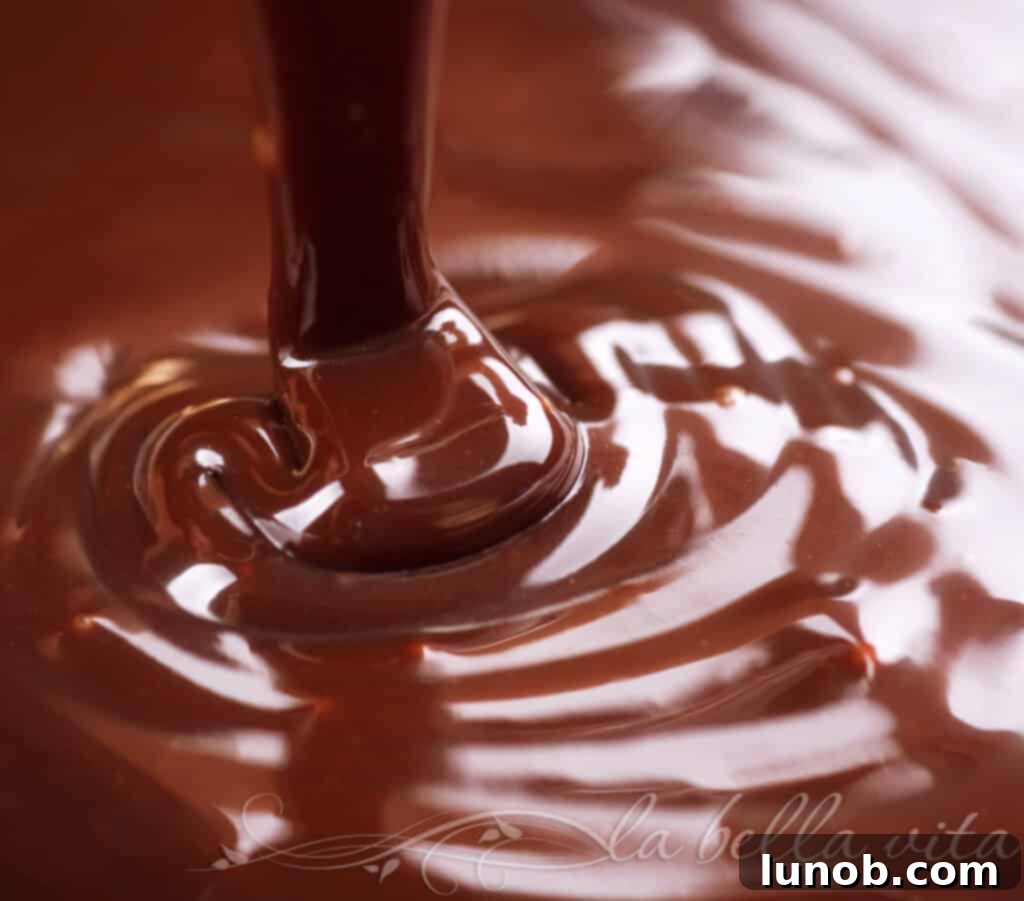 Rich chocolate ganache