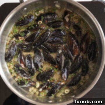 Mussels in Savory White Wine Broth 7 Cleaned mussels carefully placed into the simmering white wine sauce in the saucepan, ready for steaming.