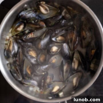 Mussels in Savory White Wine Broth 8 Steamed mussels, perfectly opened, being stirred gently in the pan to coat them in the flavorful white wine sauce.
