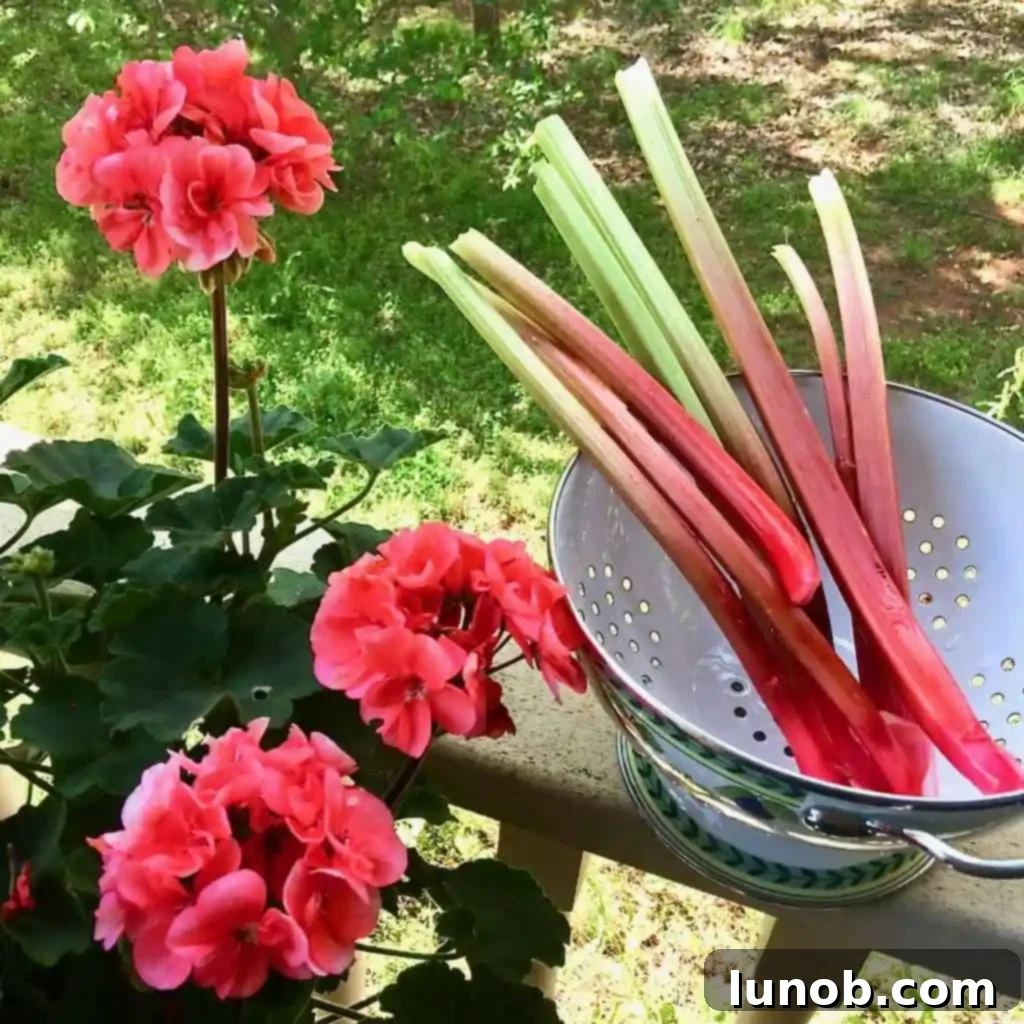 Ripe, glistening strawberries