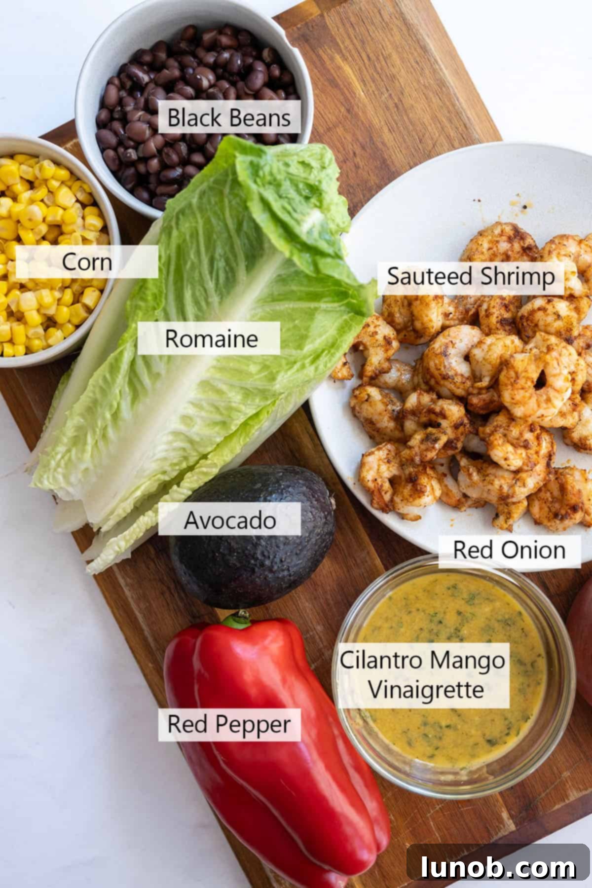 Ingredients for the recipe.