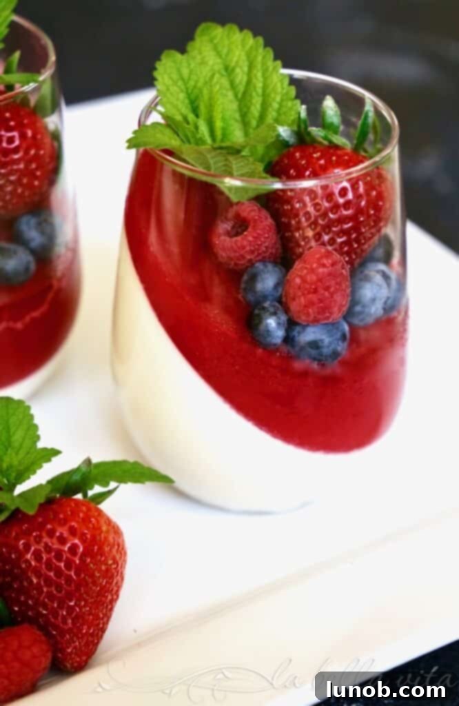 Creamy Panna Cotta with Vibrant Strawberry Coulis 3 Panna Cotta with Strawberry Coulis (Fragole)