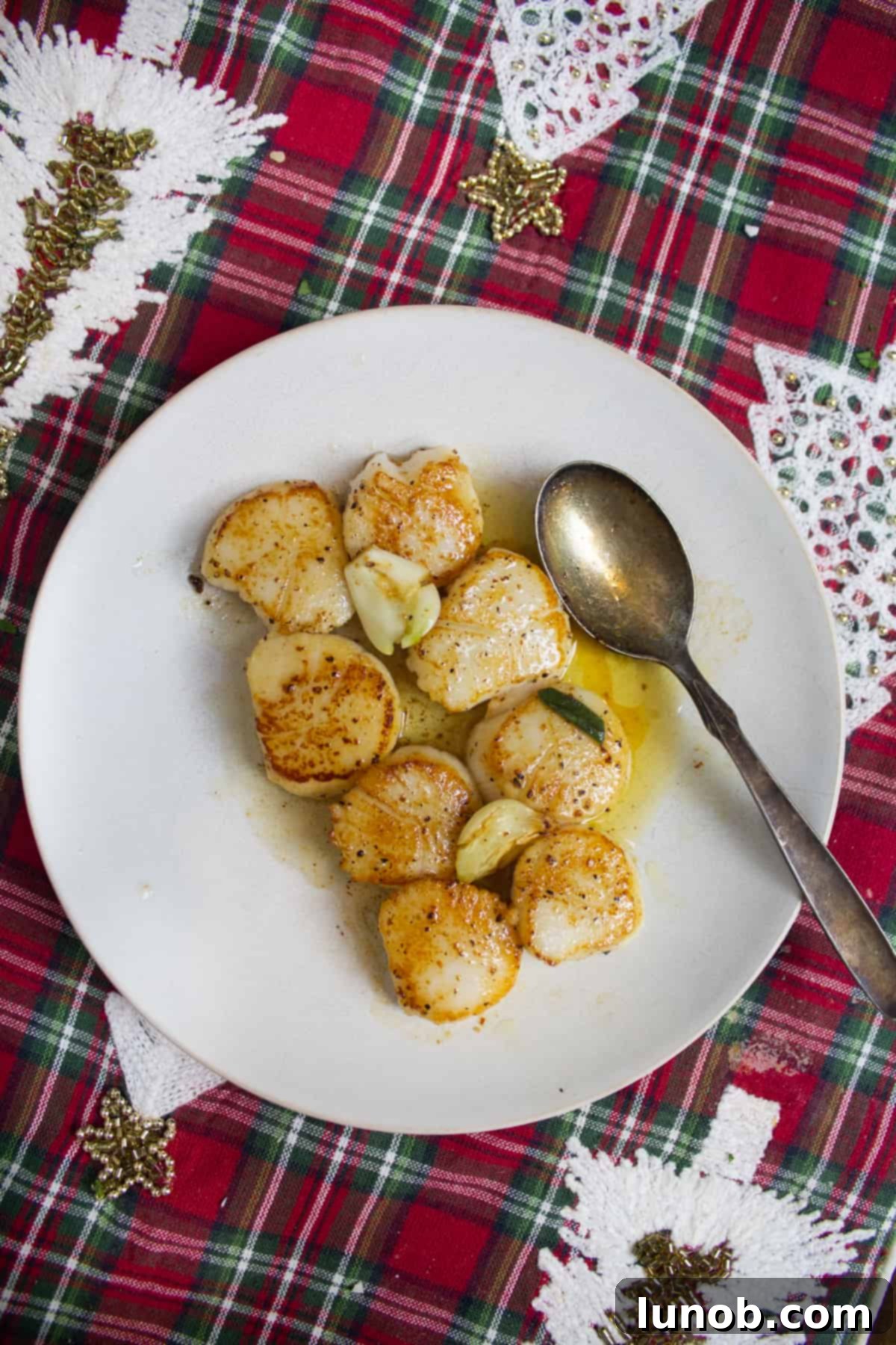 Perfectly seared scallops presented on a white plate, ready to be enjoyed.