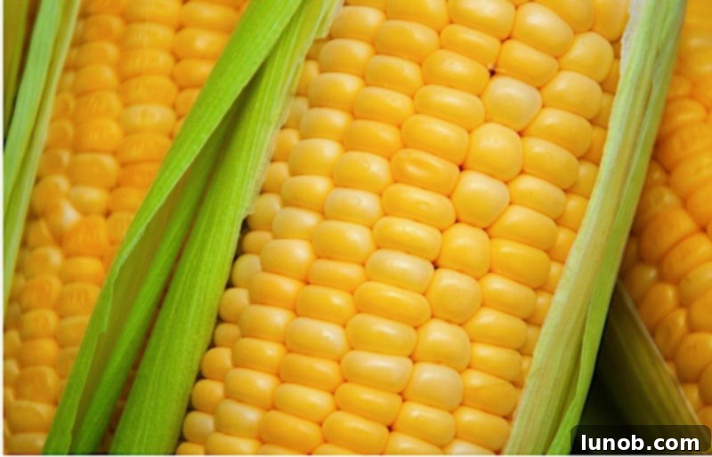 Bowl of Cheesy Pecorino Corn, ready to be served.
