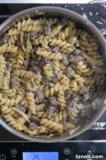 Rustic Sausage and Fennel Pasta 8 Sausage and fennel pasta tossed together in a large pan, ready to be served.