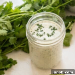 cilantro lime ranch in a mason jar