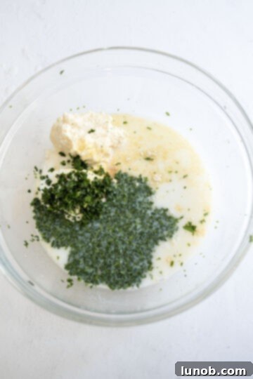 ingredients for cilantro lime ranch combined