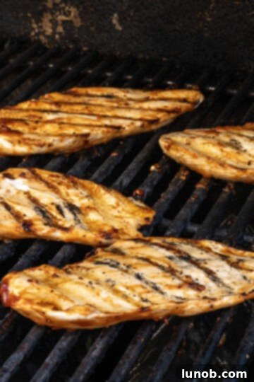 Zesty Chipotle BBQ Chicken Salad 6 Perfectly grilled BBQ chicken breast showing beautiful char marks and glaze