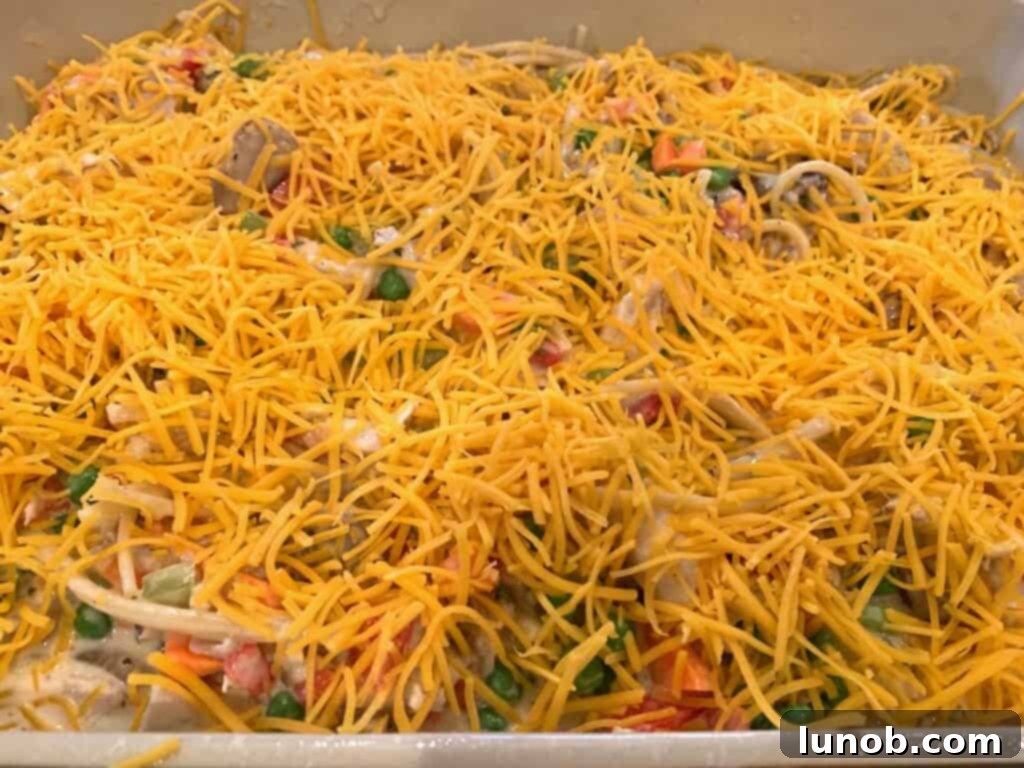 Turkey Tetrazzini: Cheesy Italian Delight with Crispy Garlic Butter Topping 23 Sprinkling shredded cheddar cheese over Turkey Tetrazzini