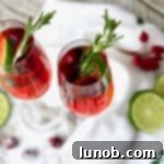 Cranberry Pomegranate Bellini