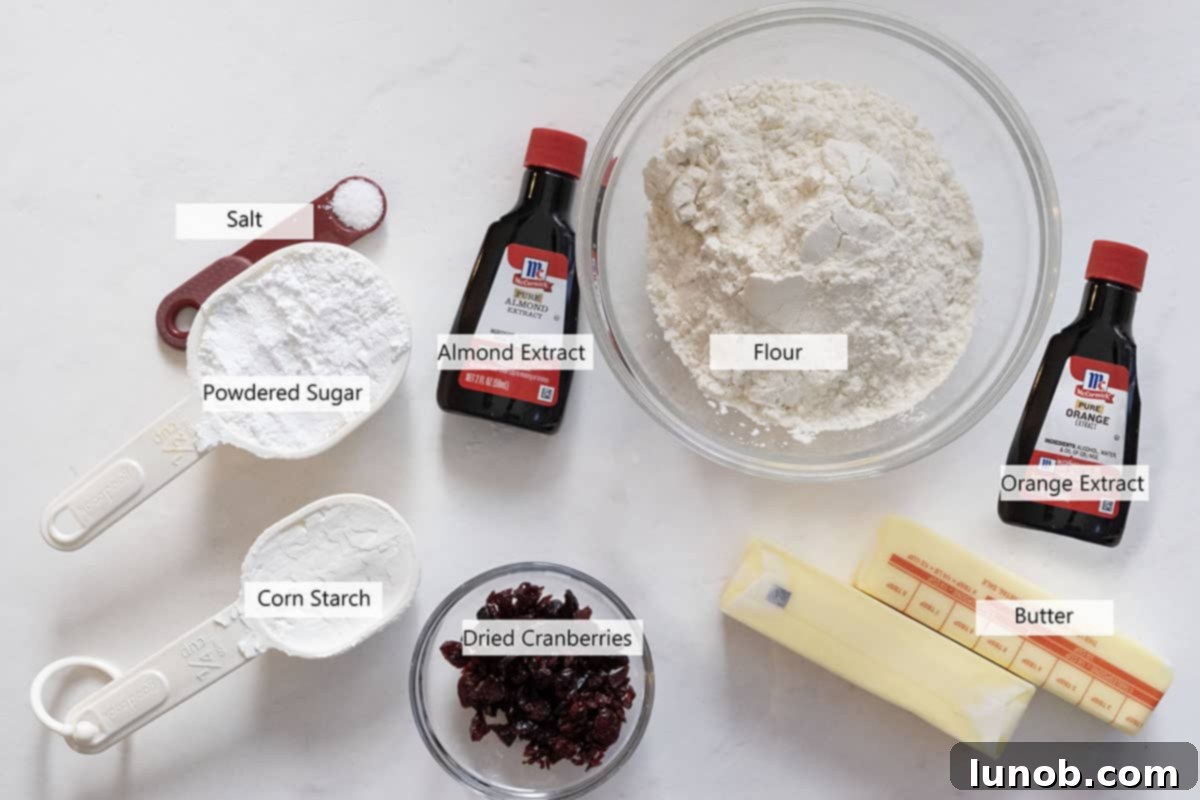 Ingredients laid out for making the shortbread cookies, including butter, flour, powdered sugar, and extracts.