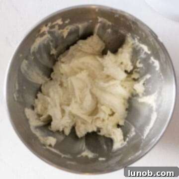 Combining all cookie ingredients in a standing mixer to form a cohesive dough.