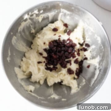 Gently folding dried cranberries into the prepared cookie dough with a spatula.