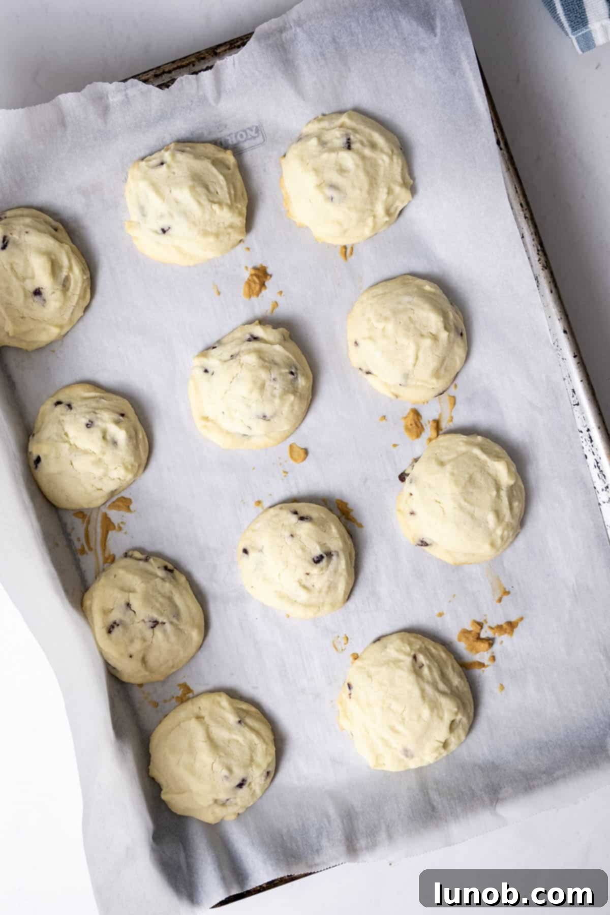 Freshly baked shortbread cookies on the baking tray, with lightly golden edges, cooling down.