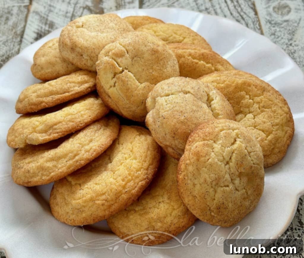Irresistibly Soft and Chewy Snickerdoodles 6 Freshly baked Snickerdoodles