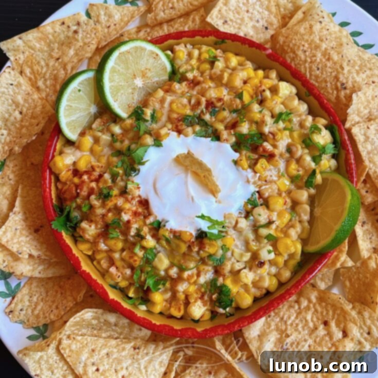 Elote Mexican Street Corn Dip | La Bella Vita Cucina