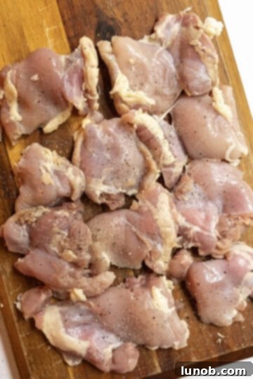 Italian-Style Chicken Skewers 5 seasoned chicken thighs