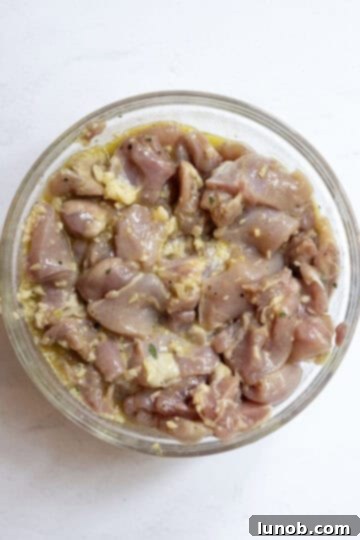 Italian-Style Chicken Skewers 6 chicken thighs in marinade