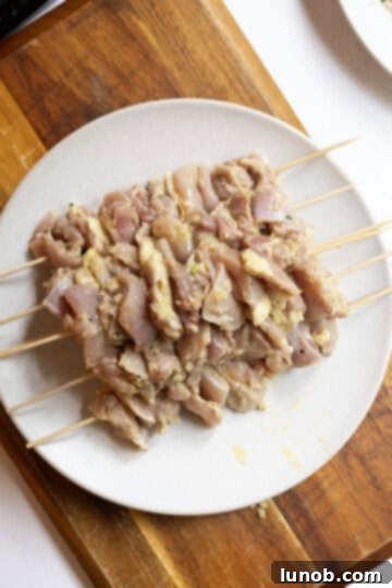 Italian-Style Chicken Skewers 8 chicken thighs on skewers