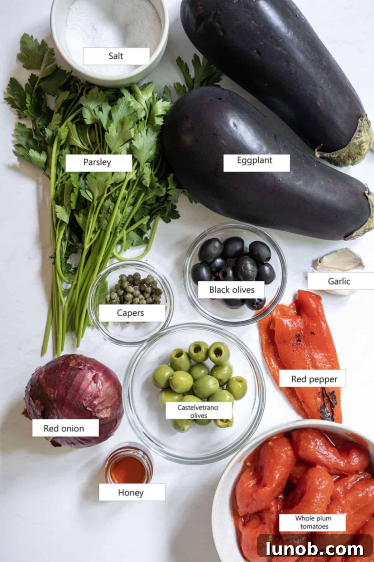 Assortment of fresh ingredients for eggplant caponata, including whole plum tomatoes, red onion, garlic, capers, and olives.