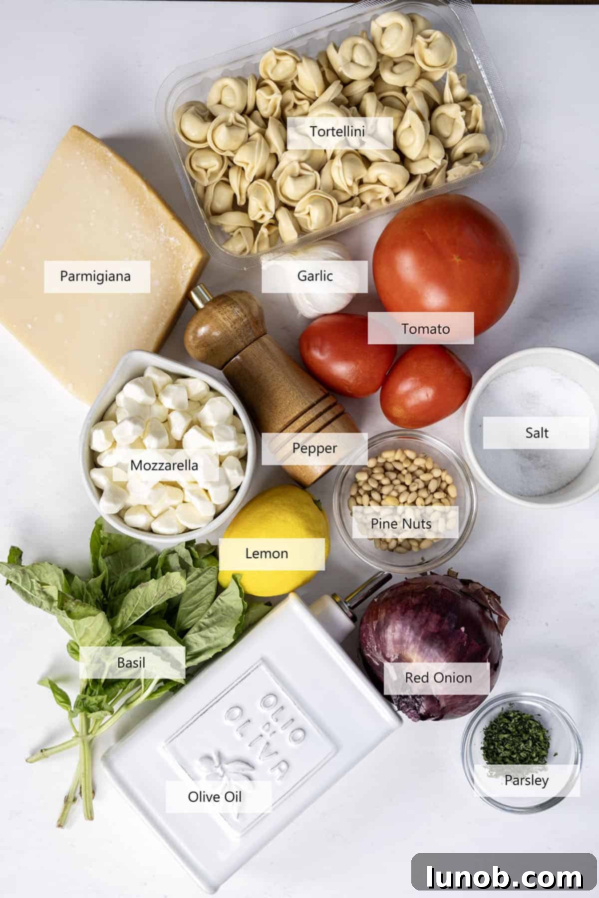 Summer Caprese Tortellini Medley 3 tortellini salad ingredients