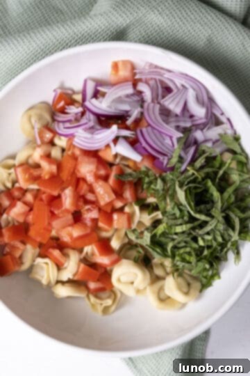 Summer Caprese Tortellini Medley 6 mixing ingredients for tortellini salad