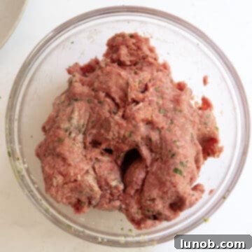 A large glass bowl filled with a thoroughly combined meatball mixture of ground beef, breadcrumbs, cheese, and herbs.