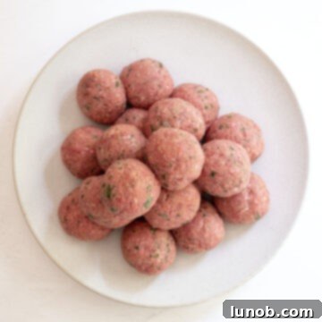 Several raw, un-fried meatballs neatly arranged on a plate, showcasing their uniform size and shape.