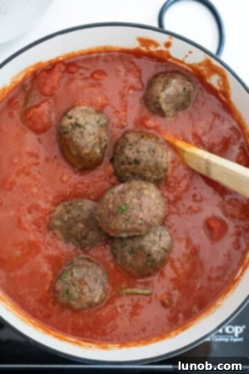Golden-brown meatballs carefully added into a simmering pot of rich red tomato sauce, ready to absorb its flavors.